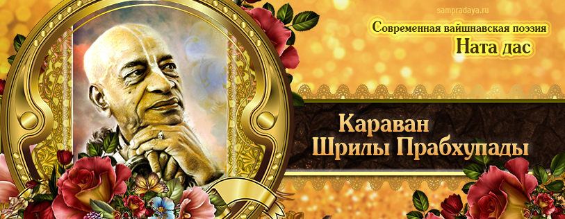 ������� ����� ����������.